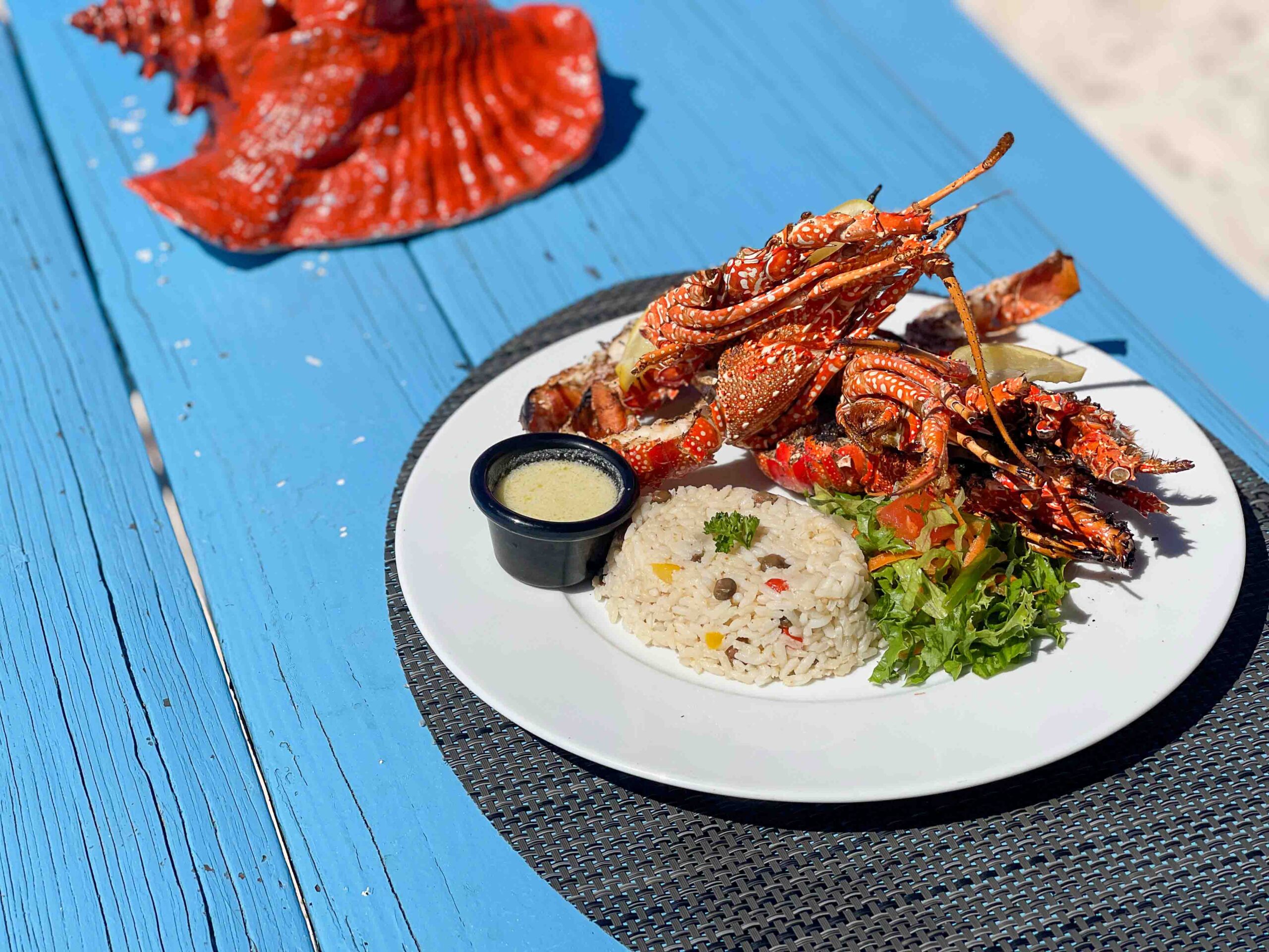 grilled Lobster on white plate with